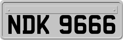 NDK9666