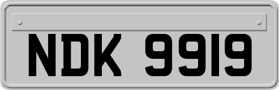 NDK9919