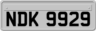 NDK9929