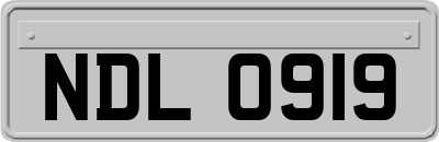 NDL0919