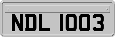 NDL1003
