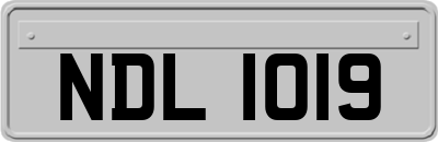 NDL1019