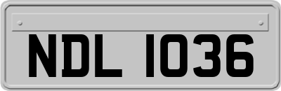 NDL1036