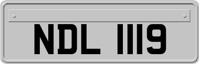 NDL1119