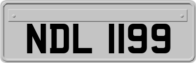 NDL1199