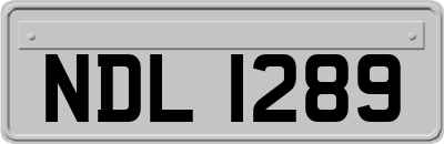 NDL1289