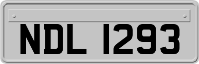NDL1293