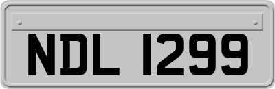 NDL1299