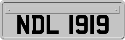 NDL1919