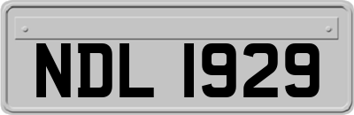 NDL1929