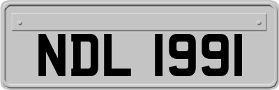 NDL1991