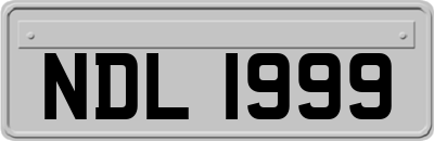 NDL1999