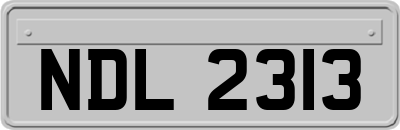 NDL2313