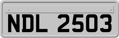 NDL2503