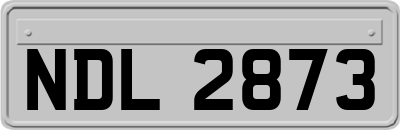 NDL2873