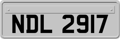 NDL2917