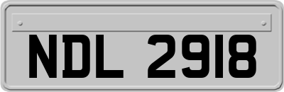 NDL2918