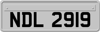 NDL2919