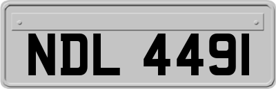 NDL4491