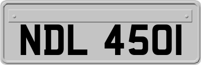 NDL4501