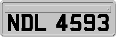 NDL4593