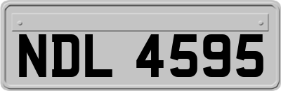 NDL4595