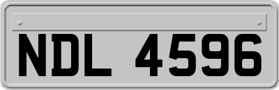 NDL4596