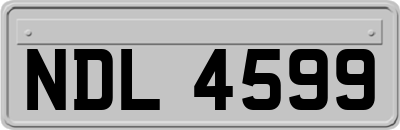NDL4599