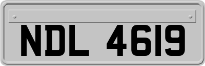 NDL4619