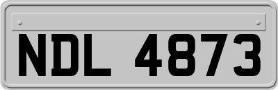 NDL4873