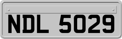 NDL5029