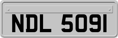 NDL5091