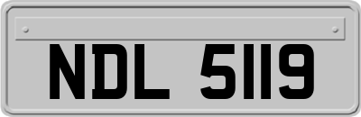 NDL5119