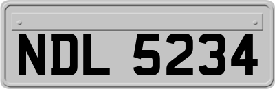 NDL5234