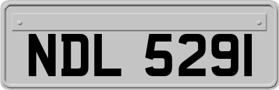NDL5291
