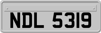 NDL5319