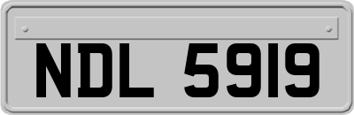NDL5919