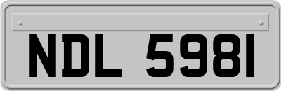 NDL5981