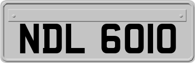 NDL6010