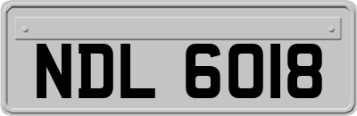 NDL6018