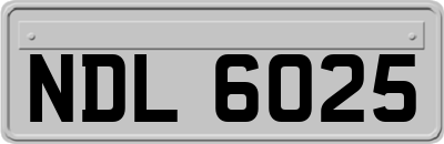 NDL6025