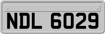 NDL6029
