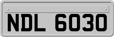 NDL6030