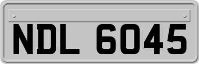 NDL6045