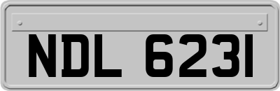 NDL6231