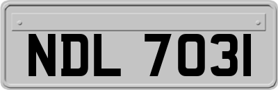 NDL7031