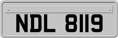 NDL8119