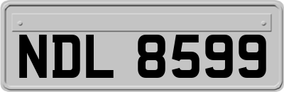 NDL8599