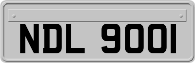 NDL9001