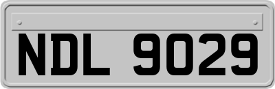 NDL9029